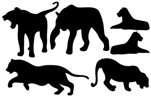 Tiger silhouette vector for websites, graphics related artwork Stock Illustration