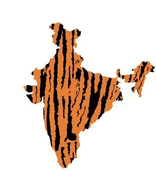 Tiger skin pattern vector illustration over India map silhouette Stock Illustration