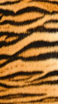 Tiger skin 스톡 사진