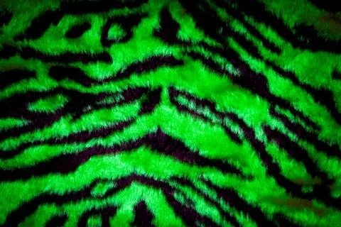 Tiger skin texture 스톡 일러스트