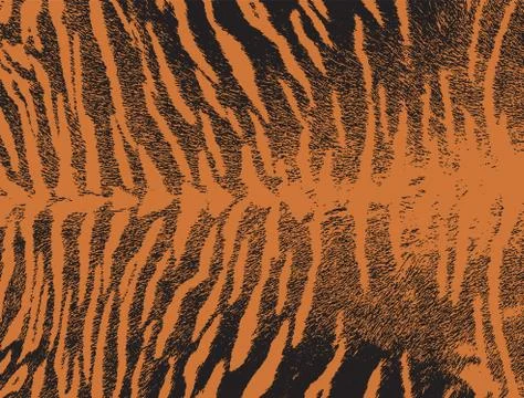 Tiger skin texture pattern background colored Stock Illustration