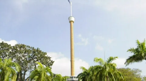 Tiger Sky Tower 库存影片 651481