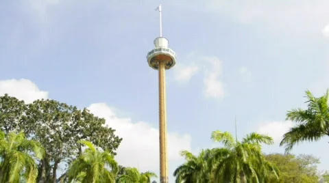 Tiger Sky Tower 库存影片 651591