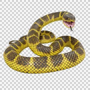 Tiger Snake Pose Stock Illustration