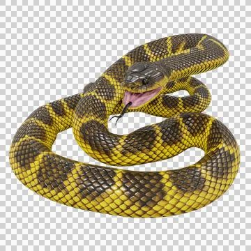 Tiger Snake Pose Illustrazione stock