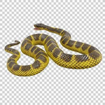 Tiger Snake Pose Illustrazione stock