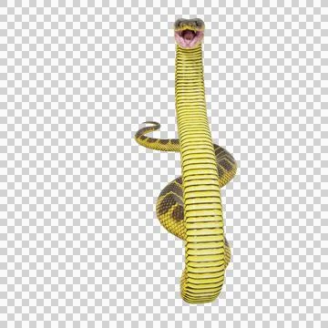 Tiger Snake Pose Illustrazione stock