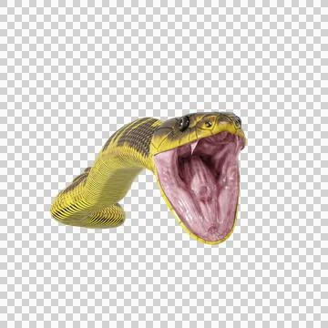 Tiger Snake Pose Illustrazione stock