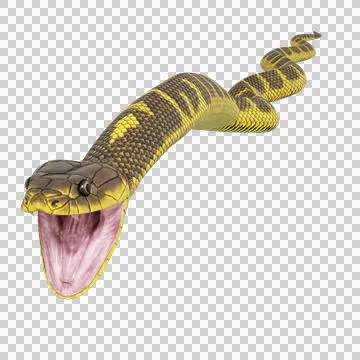 Tiger Snake Pose Stock-Illustration