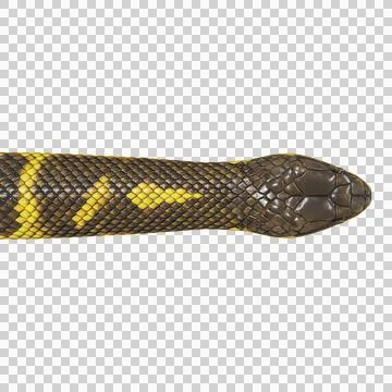 Tiger Snake Pose Stock-Illustration