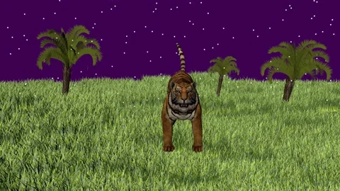 Tiger in the snow Stock Footage 178769720