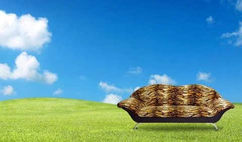 Tiger sofa on the grass field Stock Photos