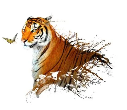 Tiger splash with butterfly イラスト素材
