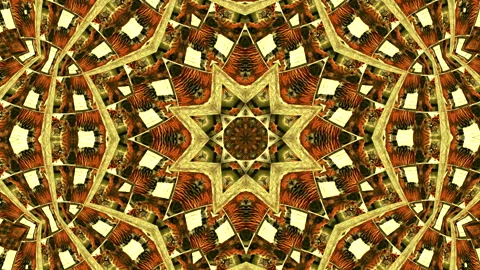 Tiger stack, moving animal background, repeat pattern using footage of real tige Stock Footage 308533495
