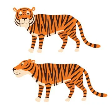 Tiger stand, vector illustration isolated on white background. Stock Illustration