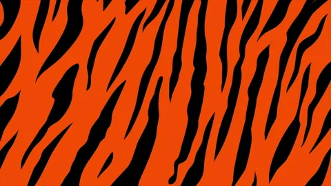 Tiger stripes background on a seamless loop Video stock 303008083