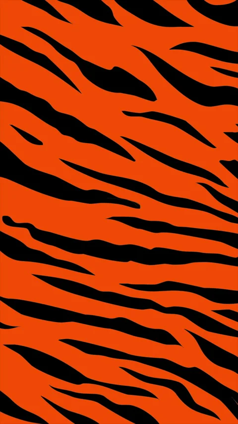 Tiger stripes background on a seamless loop Video stock 311062838
