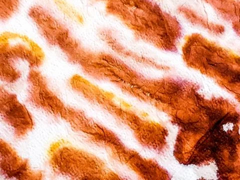 Tiger Stripes. Stock Illustration