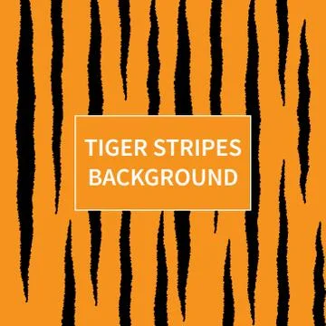 Tiger stripes pattern background Stock Illustration