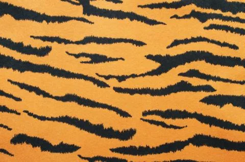 Tiger Stripes Stock Photos