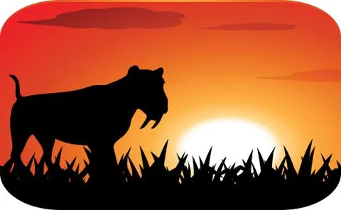 Tiger with sunset Illustrazione stock