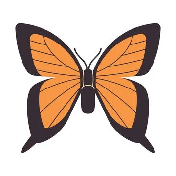 Tiger swallowtail butterfly vector drawing illustration orange and black colo Stock Illustration