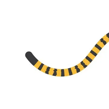 Tiger tail blank space Stock-Illustration