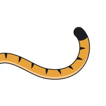 Tiger tail icon vector element design template Illustrazione stock