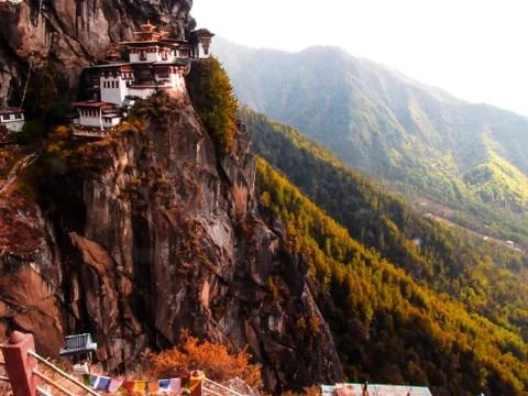 Tiger Temple 7 Stock Photos