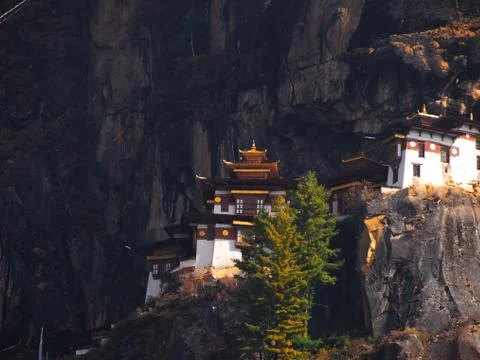 Tiger Temple Stock Photos