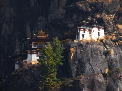 Tiger Temple Stock Photos