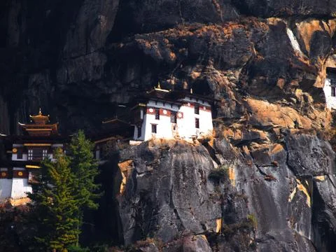 Tiger Temple1 Stock Photos