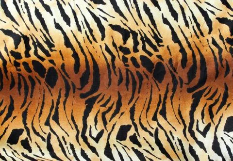 Tiger textile, piece of clothes. Foto stock