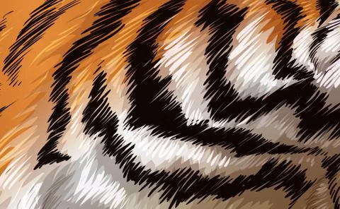A tiger texture 스톡 일러스트