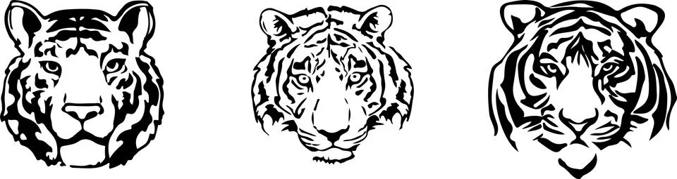 Tiger vector on color background Illustrazione stock