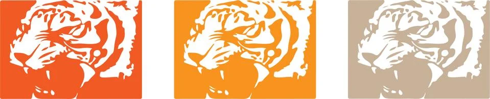 Tiger vector on color background Illustrazione stock