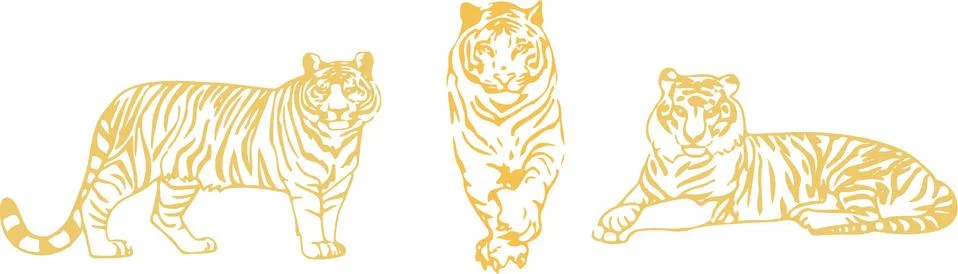 Tiger vector on color background Illustrazione stock
