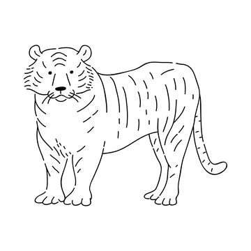 Tiger vector doodle animal of Eastern astrological calendar black outline on Stock Illustration