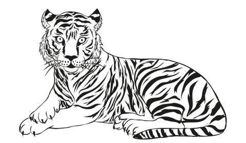 Tiger vector illustration Stock Illustration