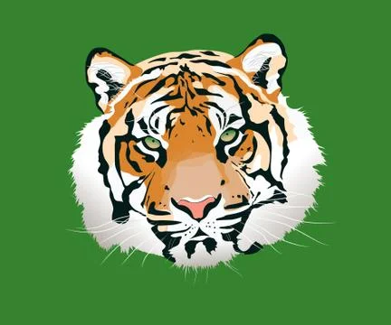 The tiger vector illustration Stock Illustration
