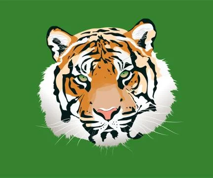 The tiger vector illustration Stock-Illustration