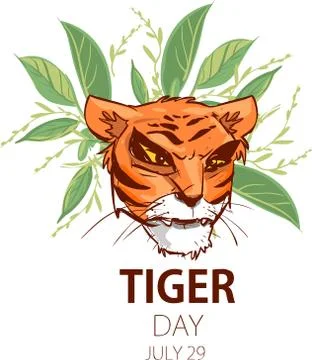 TİGER VECTOR İLLUSTRATİON Stock Illustration