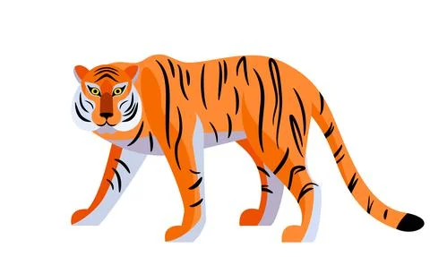 Tiger vector illustration isolated on white background. Big royal striped cat Stock Illustration