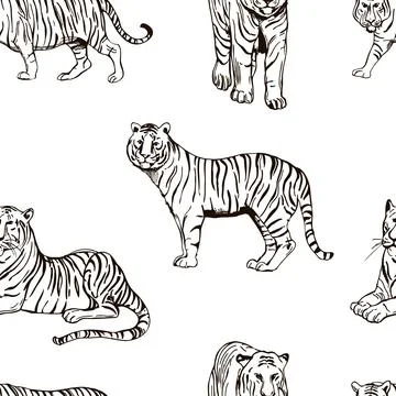 Tiger. Vector pattern. Stock Illustration
