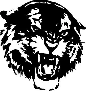 Tiger vector on white background Stock Illustration