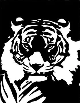 Tiger vector on white background Stock Illustration