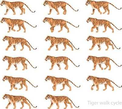 Tiger walk cycle Stock Illustration