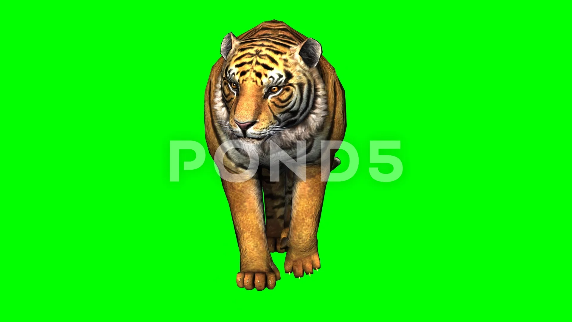 Green screen tiger animation sẽ đem lại cho bạn sự thích thú khi tạo ra những video chất lượng cao và độc đáo. Với các hình ảnh hoạt hình con hổ trên màn hình xanh, bạn sẽ có thể dễ dàng thay đổi phông nền và tạo ra những bộ phim tuyệt vời.