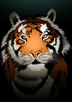 Tiger watching in the dark Stock Illustration