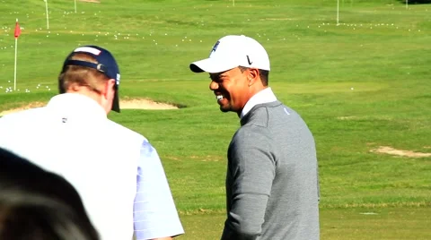 TIGER WOODS TALKS TO STEVE Stock Footage